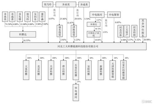 工大科雅登陸創(chuàng)業(yè)板，上市首日大漲超50% 引領(lǐng)信息系統(tǒng)集成服務(wù)新浪潮